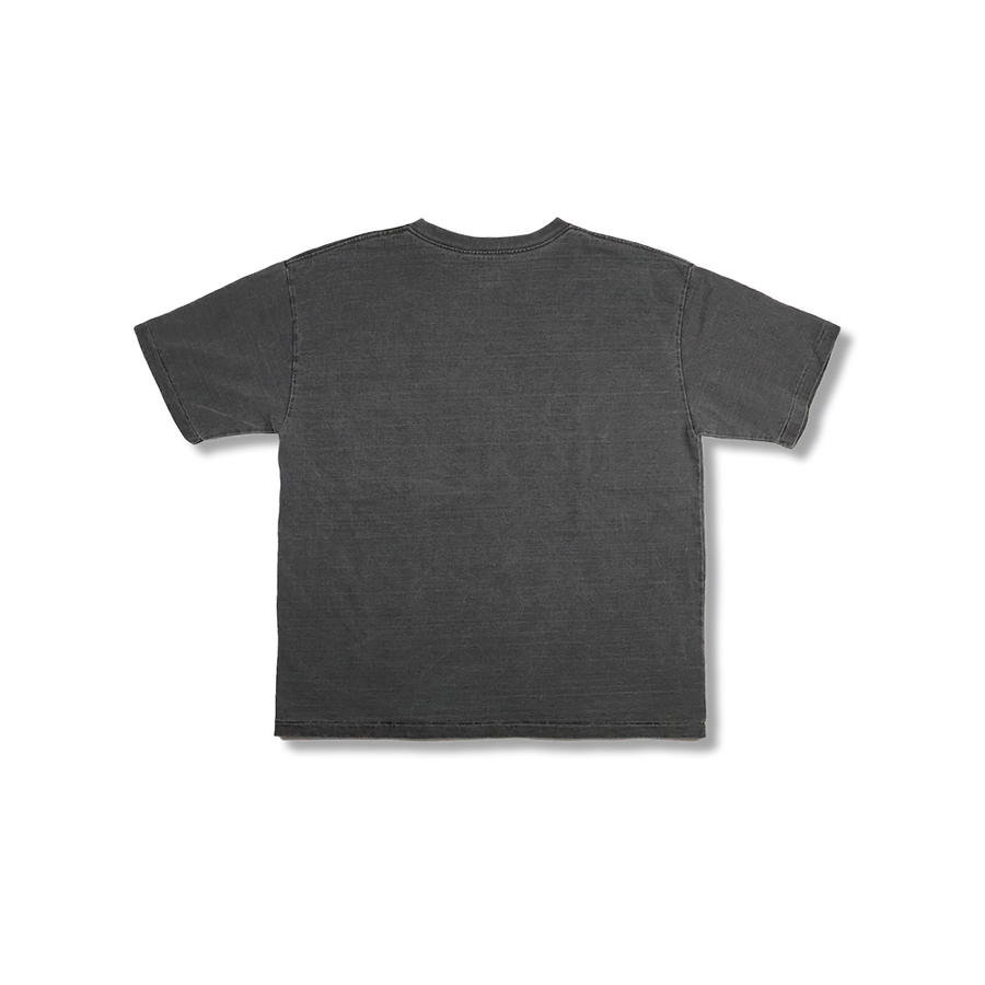 [2026SS] 5504-5 Print T “Hiram College” VE (Vintage Effect)